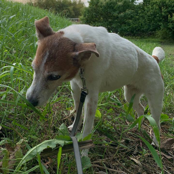 8ab9df99 0408 46a8 8584 e8ab1f26deb2 1621779817428