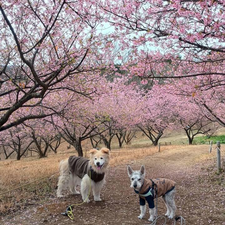 8ab9ec2f 2dff 4534 aaae 6e8ca5790fc3 1772198987772