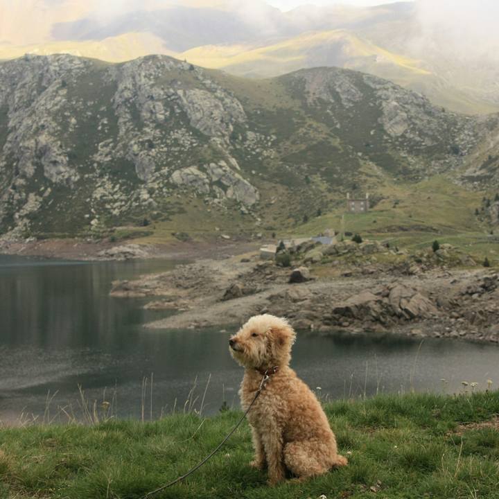 8ab9f693 32f2 467d 8382 e65041f8c465 1536524558091