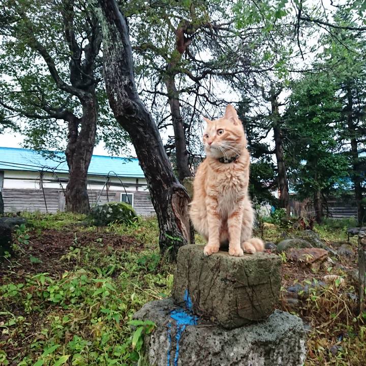 8aba09b5 42e8 4033 93ab 4eac4857bf20 1658483777033