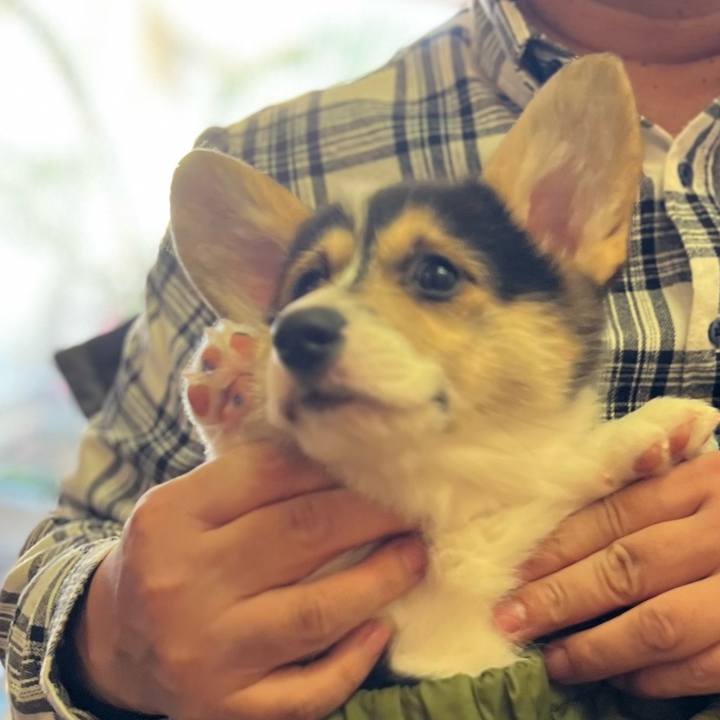 8aba4923 b9d1 4cdb 88ef f0444d0a4004 1769342831554