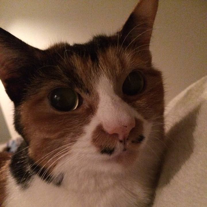 8aba4a7b c1f2 4afa bfc1 b6802d585d3c 1531662461769