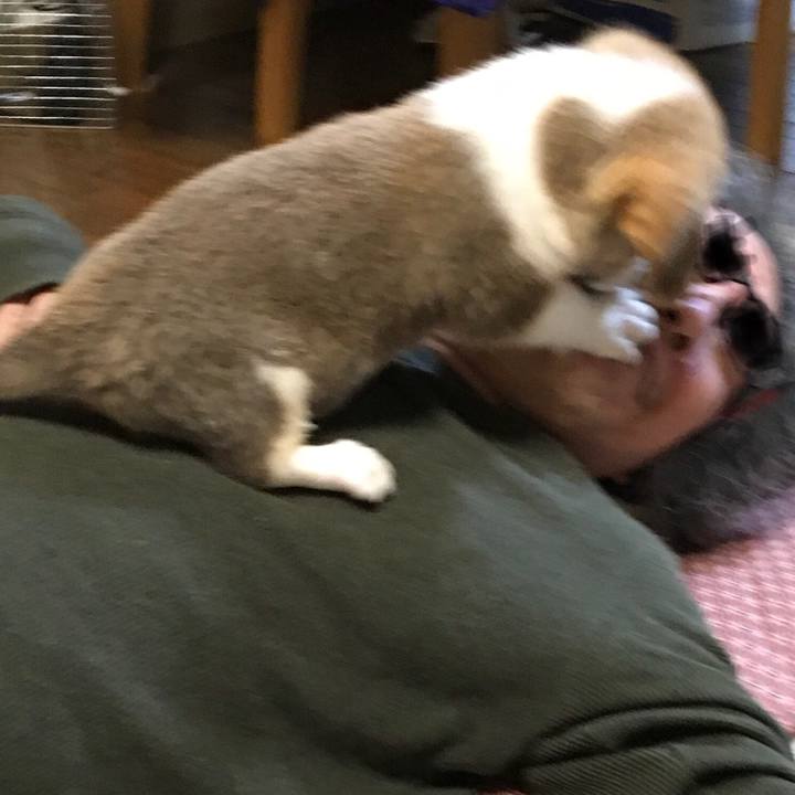 8aba56de 0ae7 49af a274 bcaf708b5f5f 1589071026747