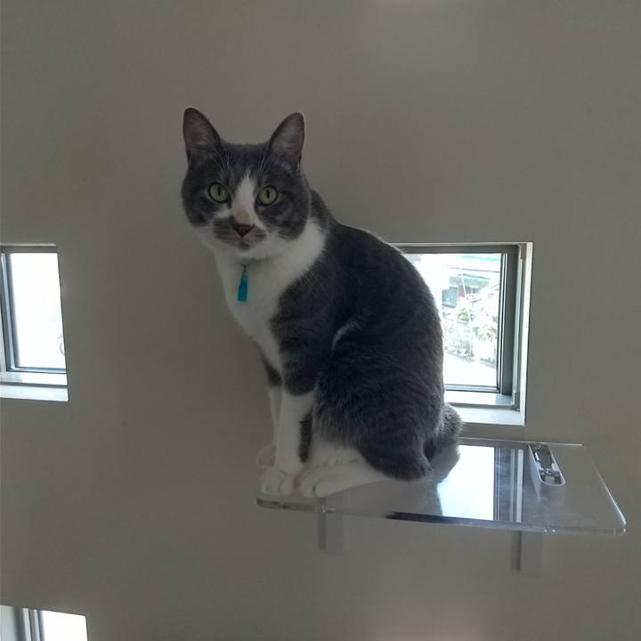 8aba5e24 ae0a 433e b27f 4d651173c3d3 1627102821493