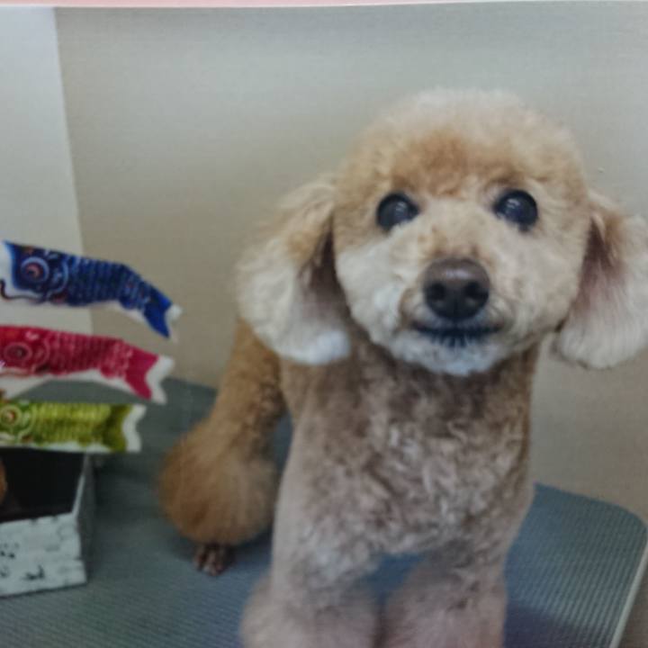 8aba6116 6a5d 41f2 9ae4 dc2f9f37c657 1618717085385