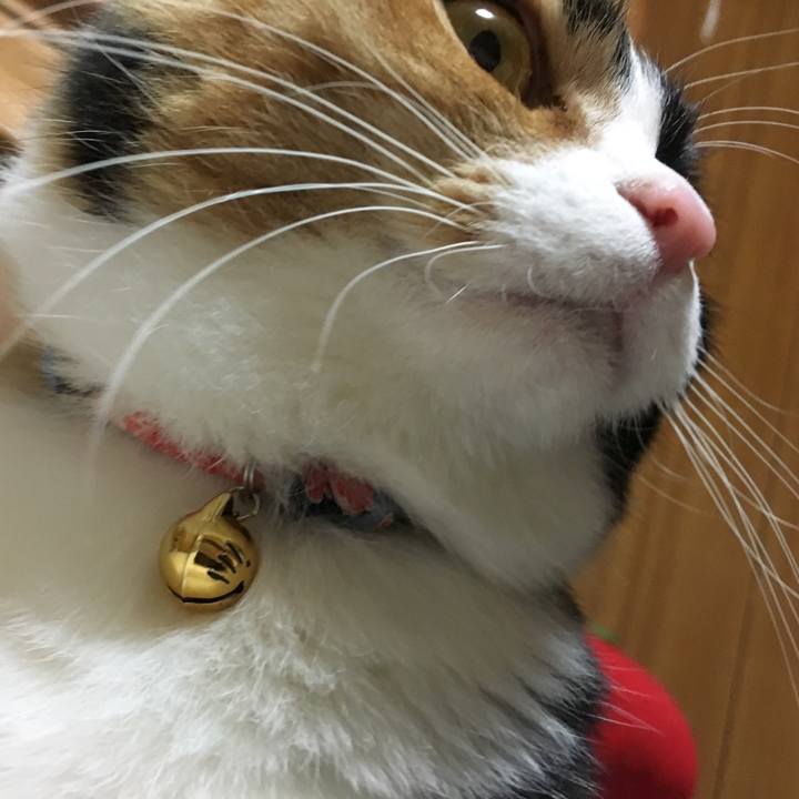 8aba81ce c073 4bb8 a076 94290449ec65 1517143019976