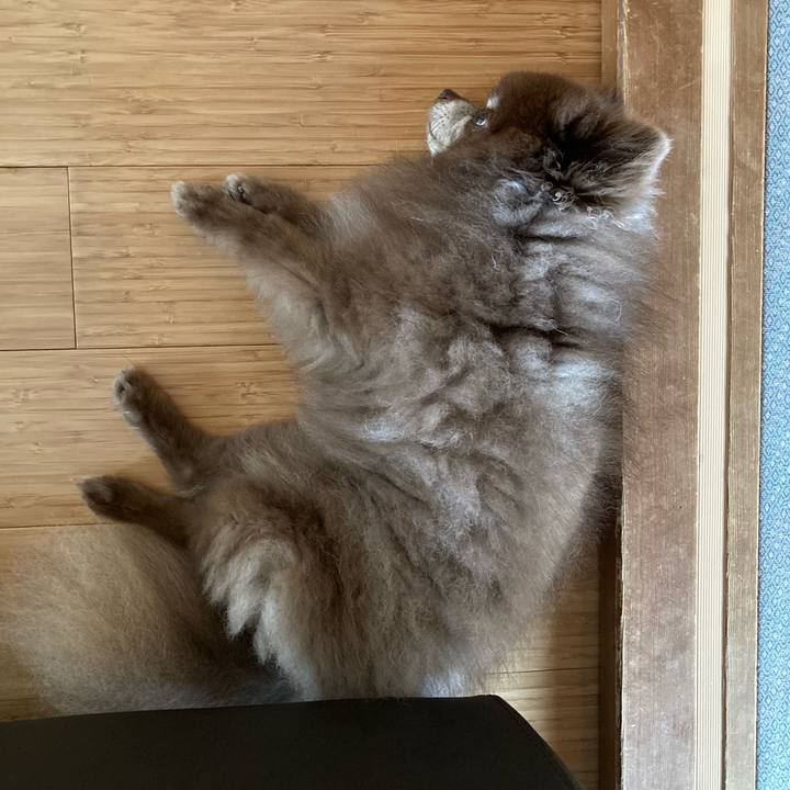 8abaf86b a1e2 4860 b91e 55b9272e4bda 1660023895804