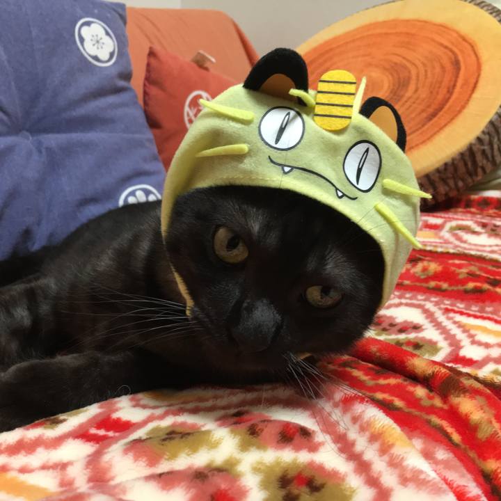 8abb0bd0 b585 44f4 a1ca de5c5c403625 1549422457158