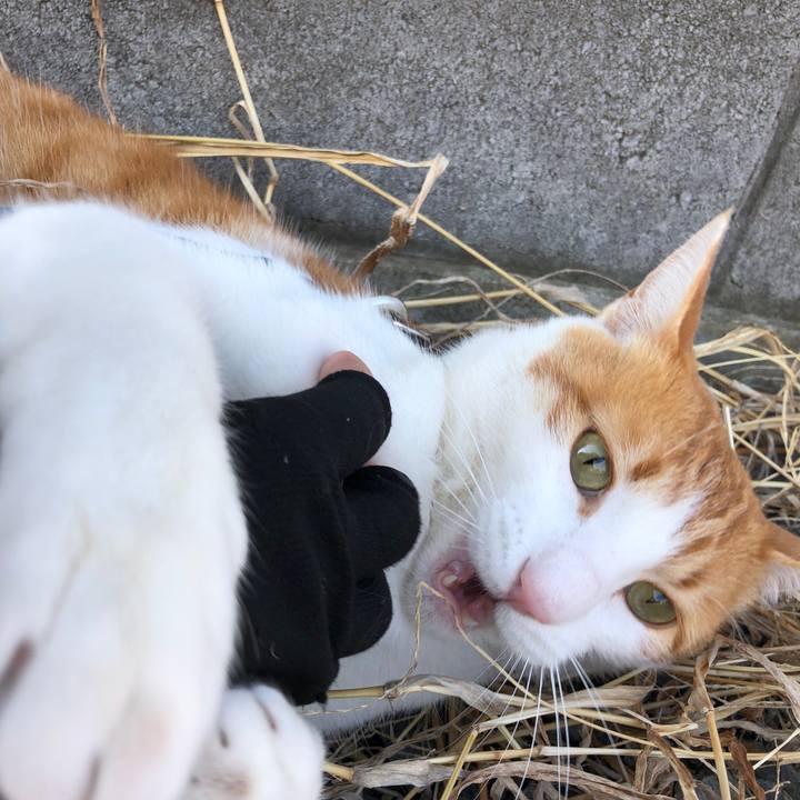 8abb1ef8 5b64 4371 92fc d0e719f90445 1549194725891