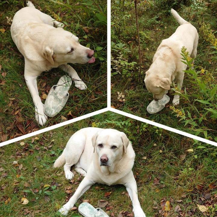 8abb2be9 3f06 4153 b7b1 01ebf03f32f1 1696210443956