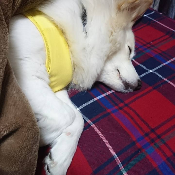 8abb4e5f 9937 4c97 9bd3 f4efde677142 1517864283594