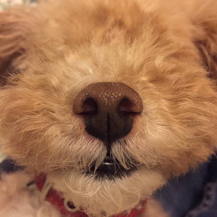 8abb6f32 6337 4c7a bfb3 8e4c1c16e55b 1523485984084