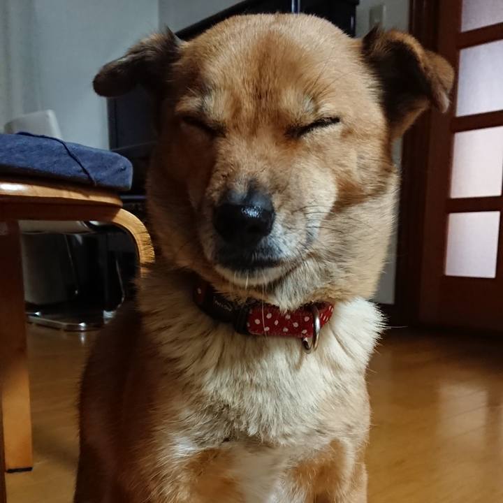 8abb85c7 3223 4a12 8a36 1d02aace50d0 1554195183679