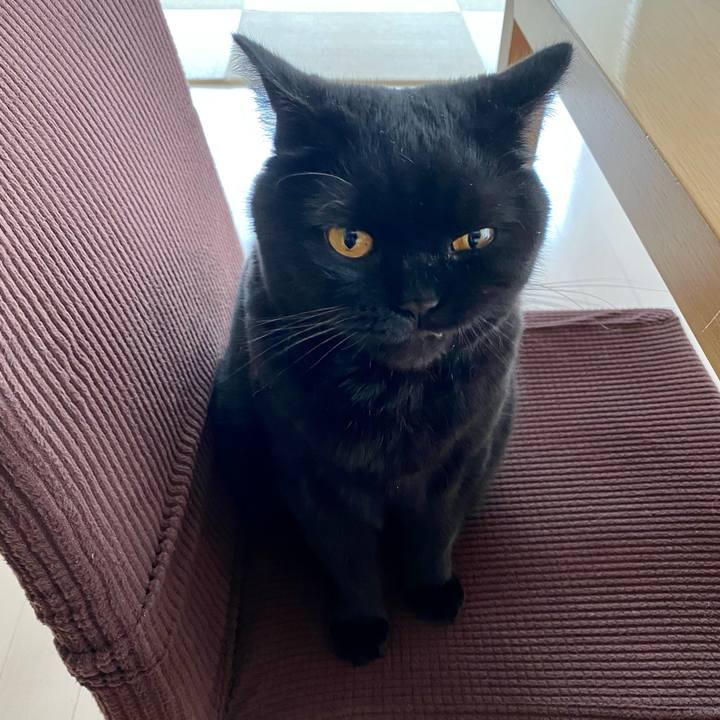 8abb87d0 b89a 4191 98b3 07d50f204d1d 1683360510259