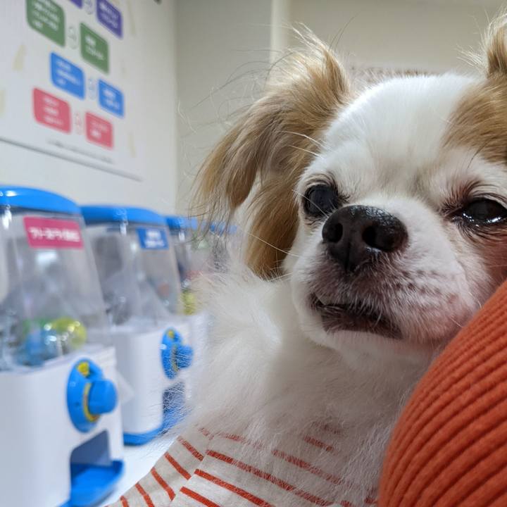 8abb8ee7 e51d 4175 8e45 f49f2c31a048 1663846474999