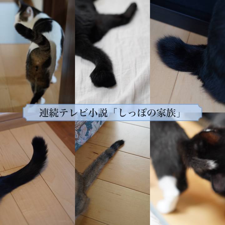 8abb9b9e ca5c 49f8 972e 54bc95a94a5e 1568851208283