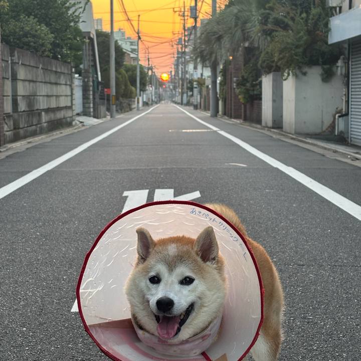 8abba650 df87 497d b15c 1c2f9d7173d8 1758055162772