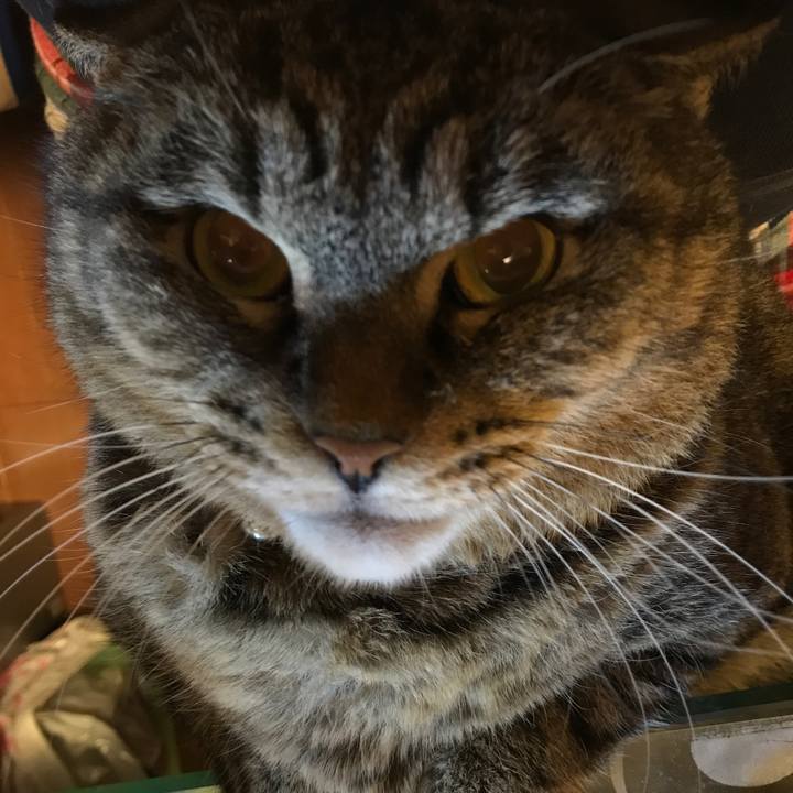 8abbc9c6 b549 4fb1 84dc 58209dcdc481 1514073121656