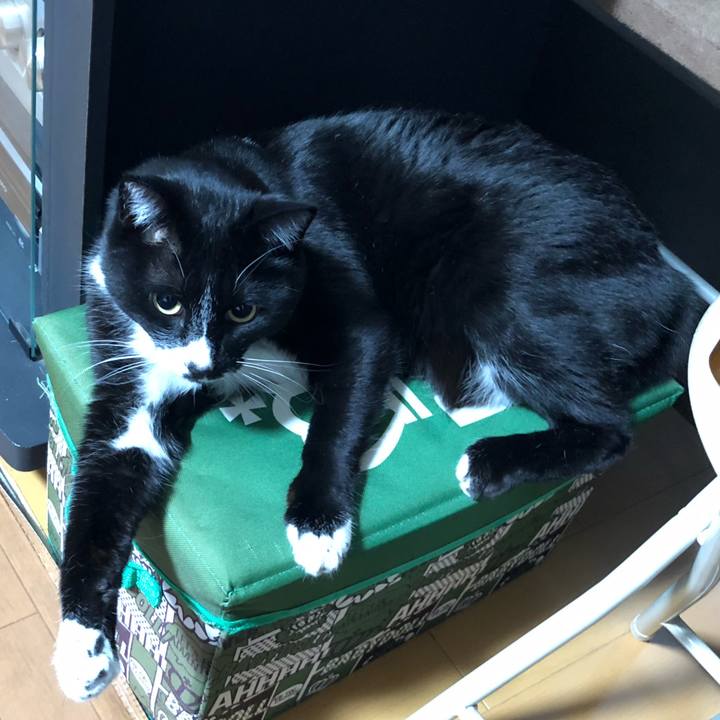 8abbcb3a 90e1 4dbe 9595 ded60a042451 1646278170048