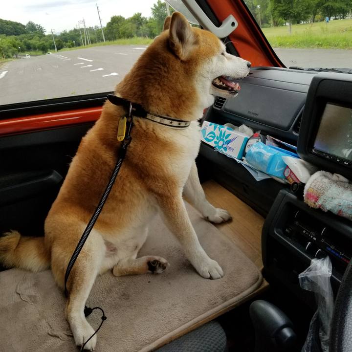 8abc01d8 09d5 42e4 b8a9 ee4c3bb293ad 1592985317364