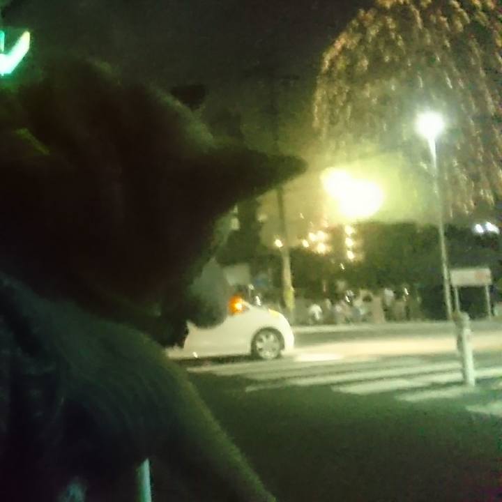 8abc5fc5 3db6 4c9d 8652 1a7b9565a7b8 1533383099963