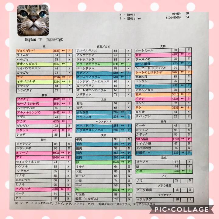 8abc745a 2e08 4bcd 8e53 5adb497ccef9 1549120011729