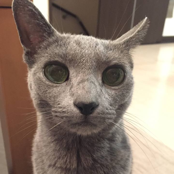 8abcab69 9ba5 410e 85ac d7abec5a41e8 1520242709669