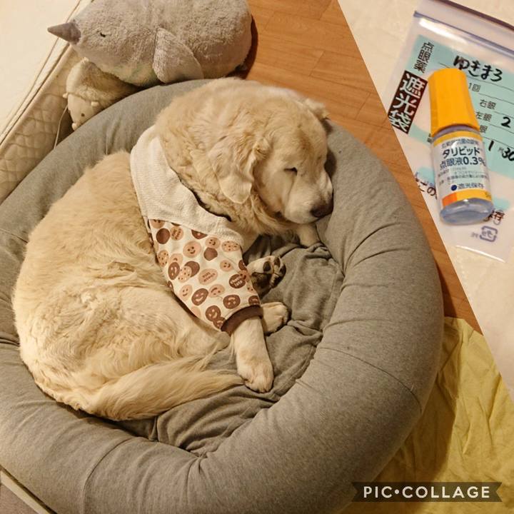 8abcc8f5 dcaa 4d8f a4e4 a4798b6b9fe7 1580482284360