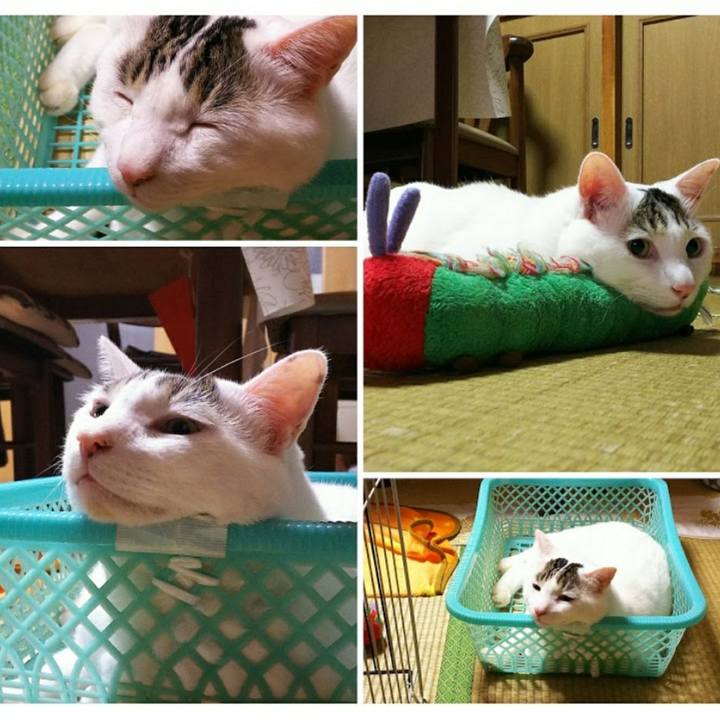 8abd1883 5408 4770 bc37 c885086846fb 1514537509332