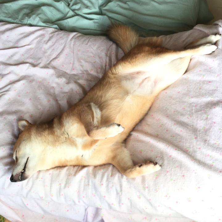 8abd1cc8 6931 4d94 b98e 06751476d6e5 1572848404178