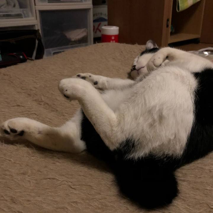 8abd392a 3dd0 466d 8181 f74b2184e3b3 1546204287582