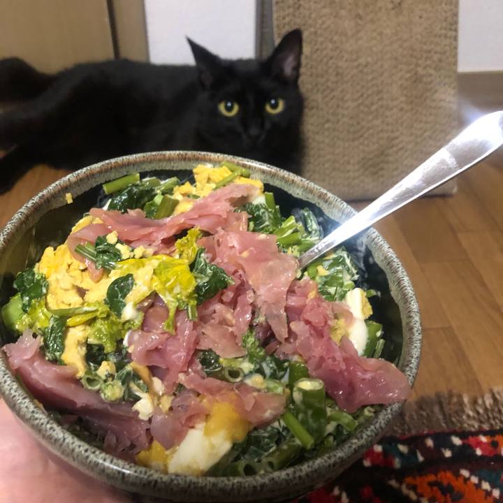 8abd7b33 26e3 45e9 befd 4704b549523e 1624535352842