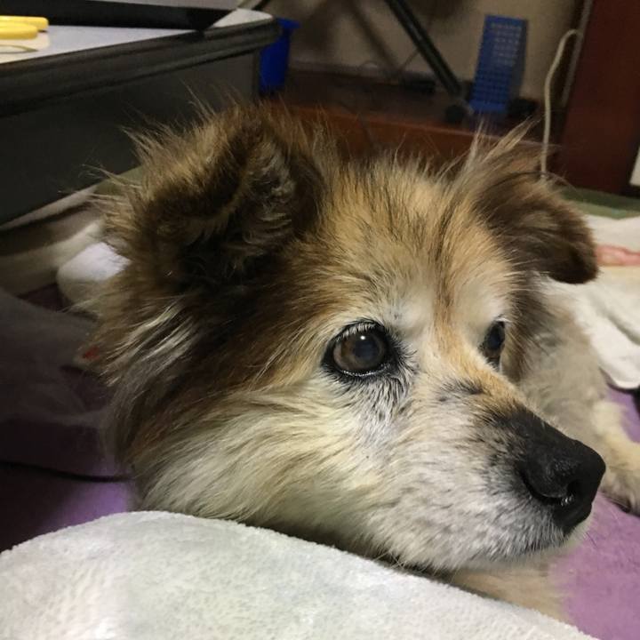 8abda51c 2899 48eb ace4 78c2823566db 1606420719956