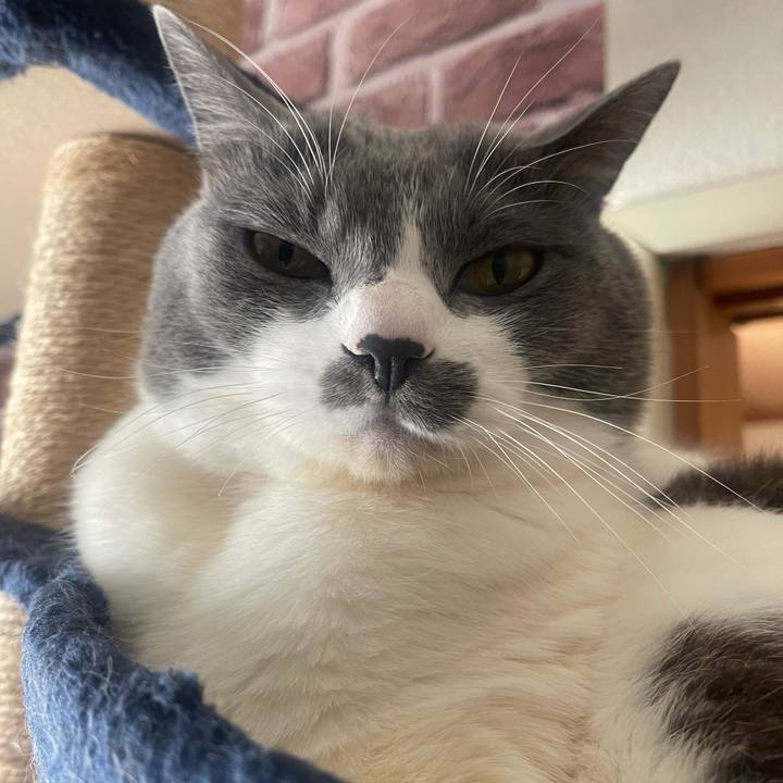 8abdaf59 2d29 4604 b0e3 16a9ddb50585 1737073122812