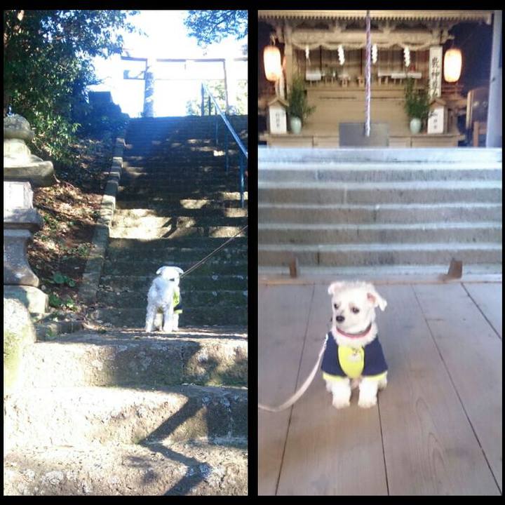 8abdda14 05f6 474f b8d2 a05ea2dcd5a0 1514788031157