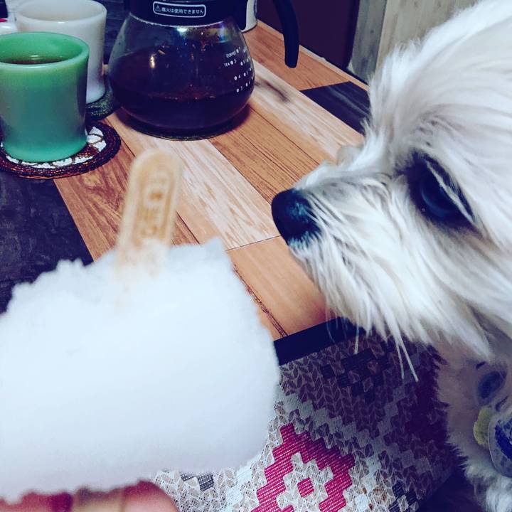 8abed7d4 c333 437a 94a6 5478f0bbfce2 1548163573586