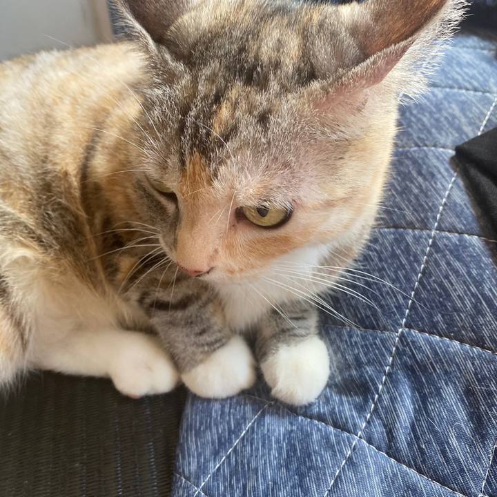 8abee1c3 f8bb 4e5c 8cdb f209fa344c59 1598576416441