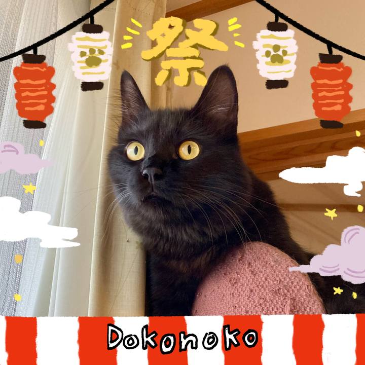 8abf0b48 72f9 4ef1 b979 ddf868a142d9 1723550219479