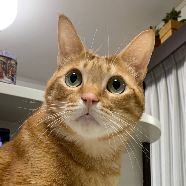 8abf193e 8628 4676 a994 7012a3334202 1640824510424