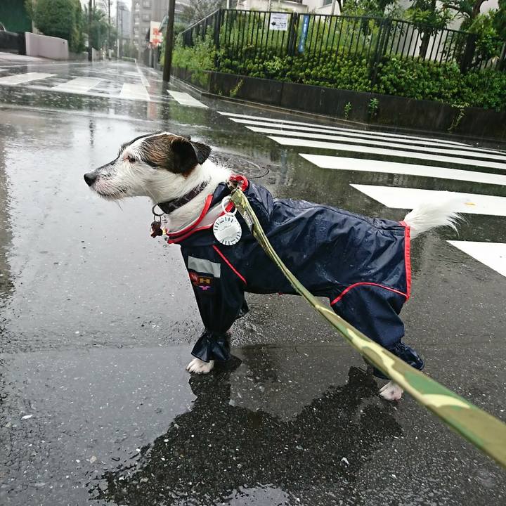 8abf2ec6 e480 440b 82de b9014e063188 1508636465775