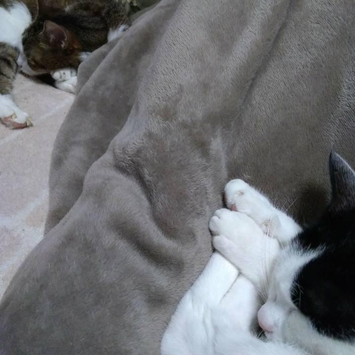 8abfd6ad 801c 42e8 a33b 67a72576f485 1542806254192