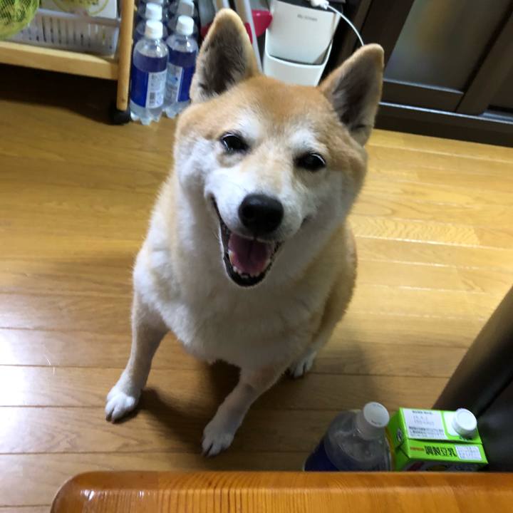 8abfd945 4250 416b ab79 4760139bd67f 1559474825439