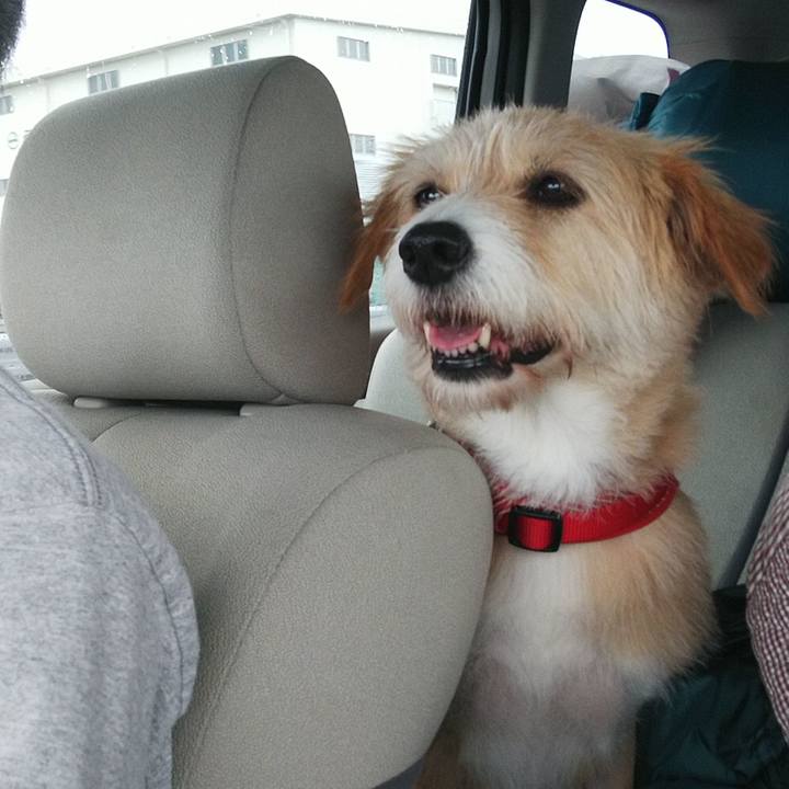 8abfdd47 d30c 4f5d b22c 00d79ae7feaa 1563756384119