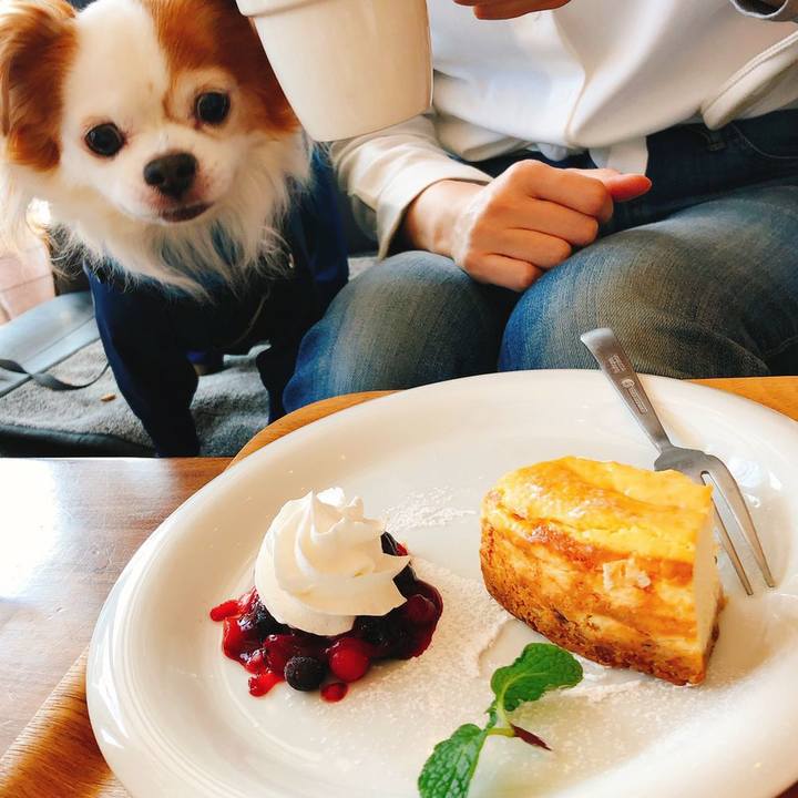 8abffcb8 9177 4434 a35a b696e3a0f140 1550535839748