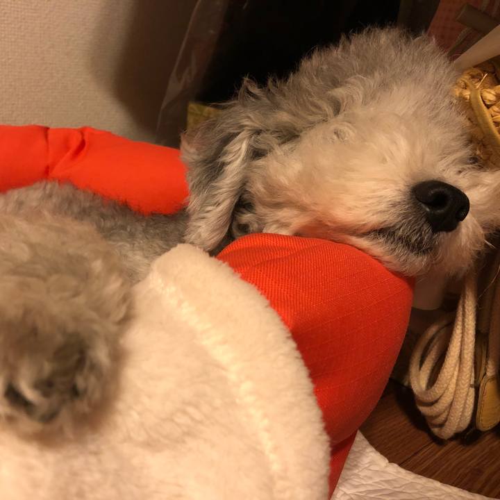 8ac028b6 85c8 4d08 b5c7 7092d1d6e40c 1538320252974