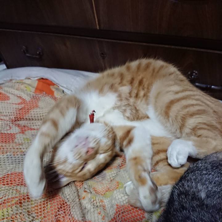 8ac0442f 6f94 4487 95c5 3f7f2c1cf049 1572787718644