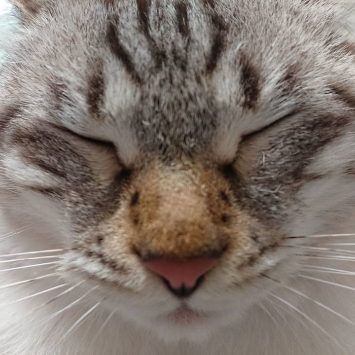 8ac0530f eb47 42e7 a8f7 92fa4ebff07c 1538823304700