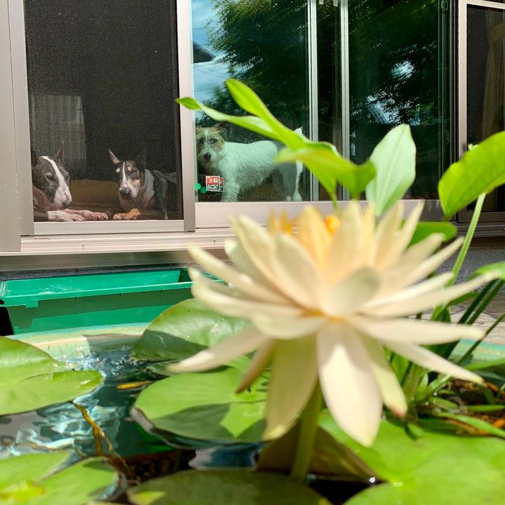 8ac067b6 eb55 48c7 827b 2379214aa4be 1600751673058