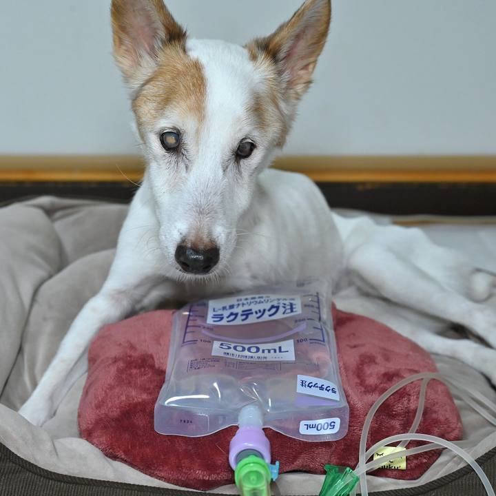 8ac06a35 4c4c 4404 b10f 3f2bb2c7a80c 1760531133487