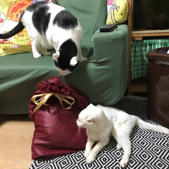 8ac0922d 9734 494e 8f5e 8d0cf8ffadff 1571228857406